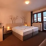 Wellness Hotel Sauna فندق