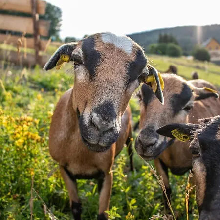 Wellness Sauna 3* Malá Morávka