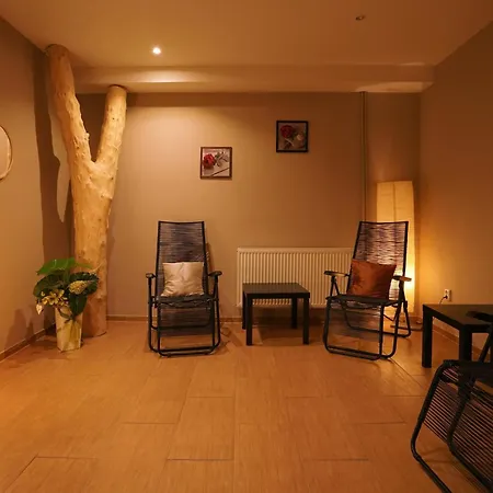 Wellness Sauna Hotel Malá Morávka
