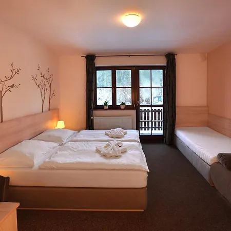 Wellness Sauna 3* Malá Morávka