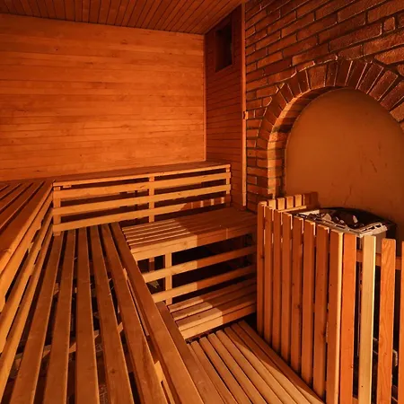 Wellness Sauna 호텔 3*
