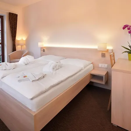 Wellness Hotel Sauna