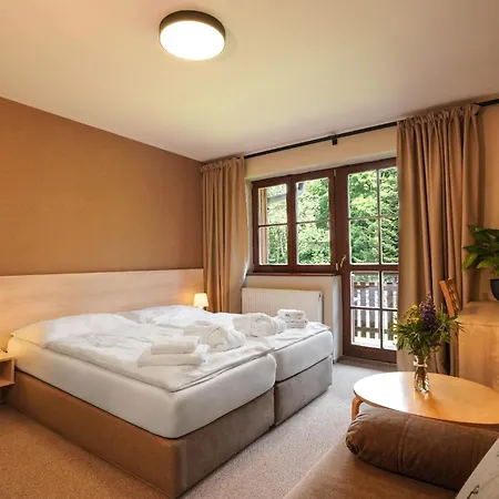 Wellness Sauna 3* Malá Morávka