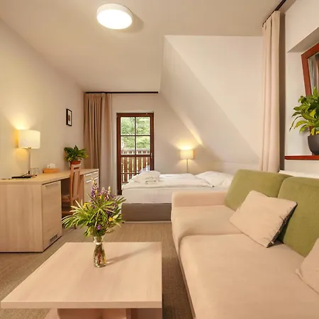 Hotel Wellness Sauna 3*