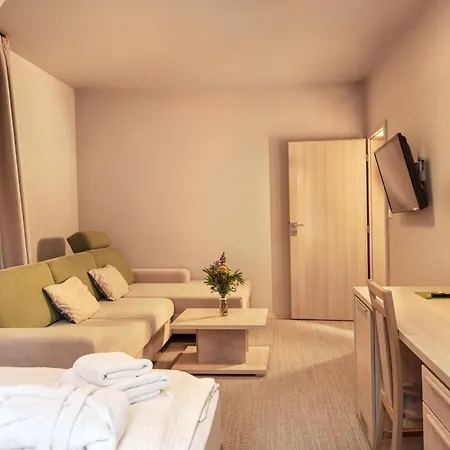 Hotel Wellness Sauna