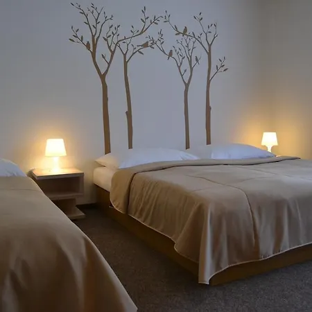 Wellness Hotel Sauna Mala Moravka