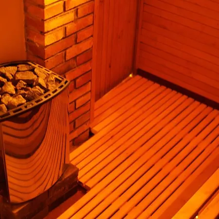 Wellness Sauna