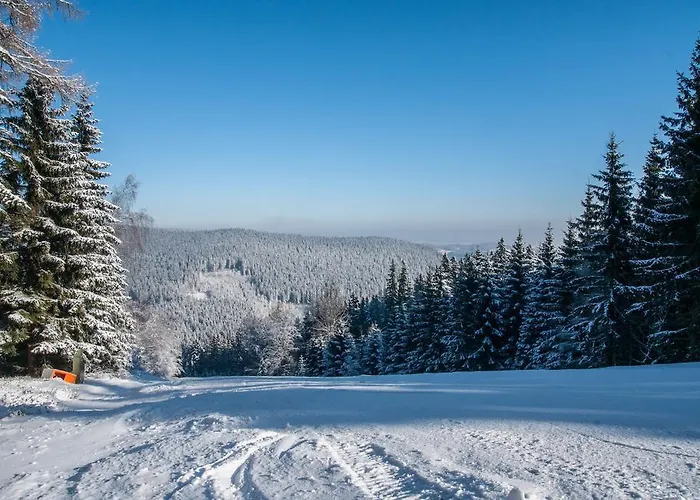 Wellness Hotel Sauna Hotel 3*