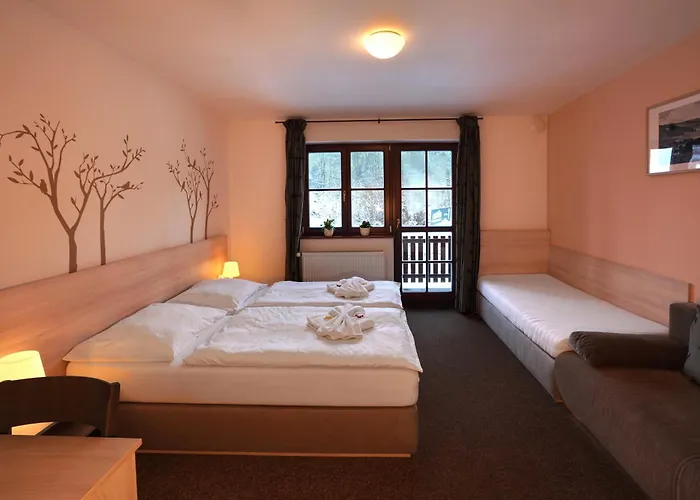 Wellness Sauna 3* Malá Morávka