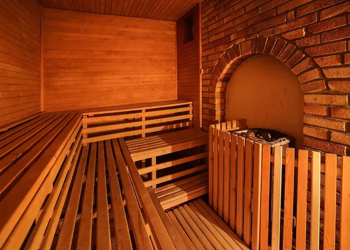 Wellness Sauna 호텔 3*